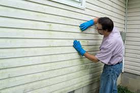 Best Custom Trim and Detailing for Siding  in Lone Oak, TN